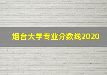 烟台大学专业分数线2020