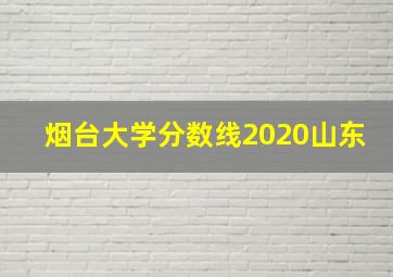 烟台大学分数线2020山东