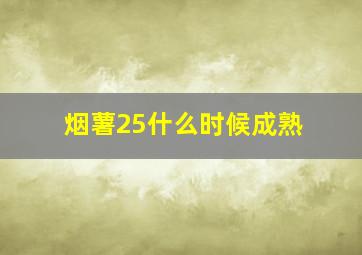 烟薯25什么时候成熟