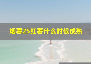 烟薯25红薯什么时候成熟