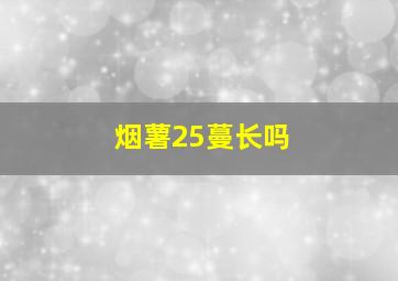 烟薯25蔓长吗