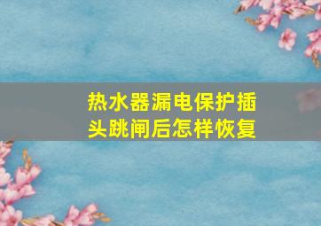 热水器漏电保护插头跳闸后怎样恢复