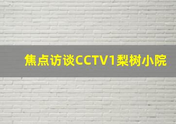 焦点访谈CCTV1梨树小院