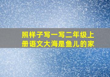 照样子写一写二年级上册语文大海是鱼儿的家