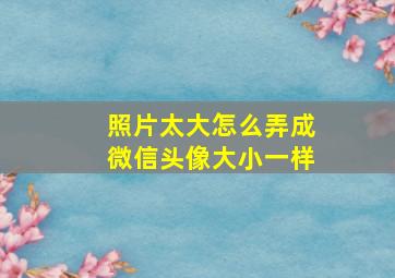 照片太大怎么弄成微信头像大小一样