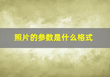 照片的参数是什么格式