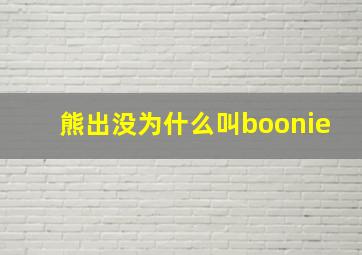 熊出没为什么叫boonie