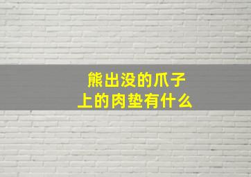 熊出没的爪子上的肉垫有什么