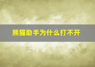 熊猫助手为什么打不开