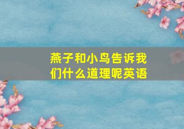 燕子和小鸟告诉我们什么道理呢英语