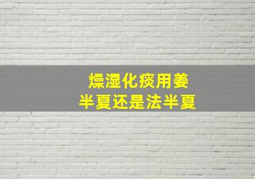 燥湿化痰用姜半夏还是法半夏