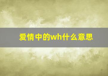 爱情中的wh什么意思