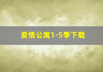 爱情公寓1-5季下载