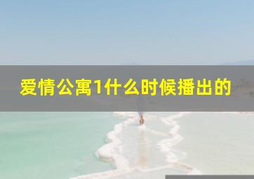 爱情公寓1什么时候播出的