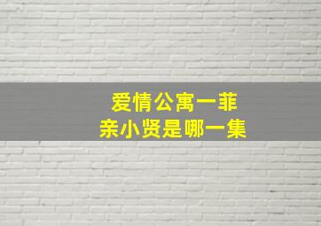 爱情公寓一菲亲小贤是哪一集