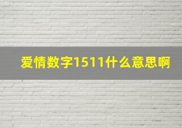 爱情数字1511什么意思啊