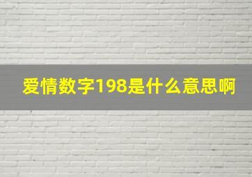 爱情数字198是什么意思啊