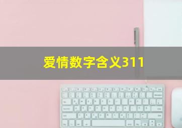 爱情数字含义311