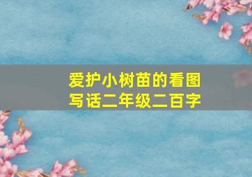 爱护小树苗的看图写话二年级二百字