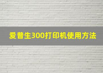 爱普生300打印机使用方法