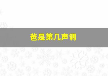 爸是第几声调