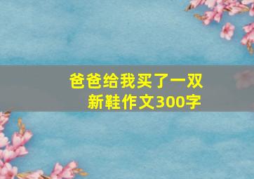 爸爸给我买了一双新鞋作文300字