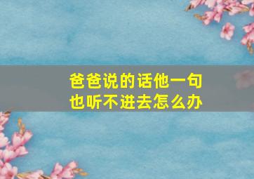 爸爸说的话他一句也听不进去怎么办