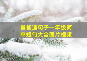 爸爸造句子一年级简单短句大全图片视频