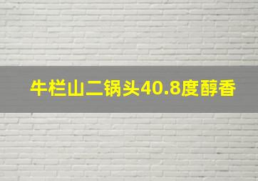 牛栏山二锅头40.8度醇香