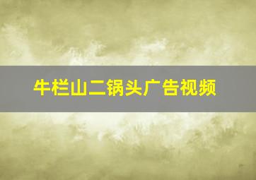 牛栏山二锅头广告视频