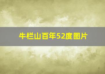 牛栏山百年52度图片