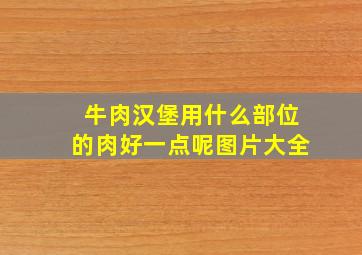 牛肉汉堡用什么部位的肉好一点呢图片大全