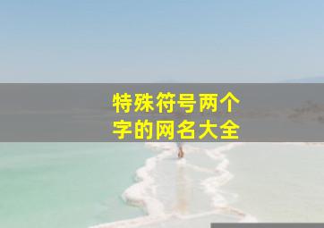 特殊符号两个字的网名大全