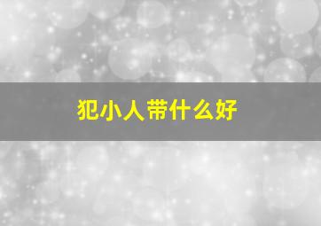 犯小人带什么好