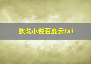 狄戈小说百度云txt