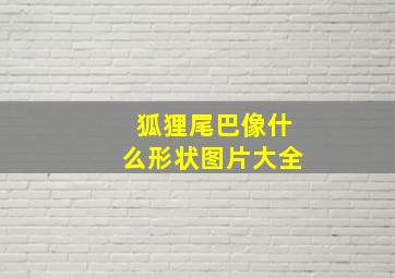 狐狸尾巴像什么形状图片大全