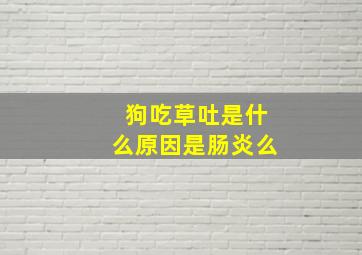 狗吃草吐是什么原因是肠炎么