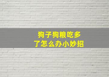 狗子狗粮吃多了怎么办小妙招