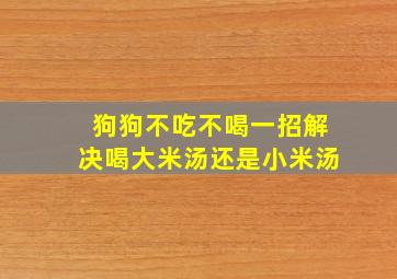 狗狗不吃不喝一招解决喝大米汤还是小米汤