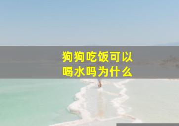 狗狗吃饭可以喝水吗为什么