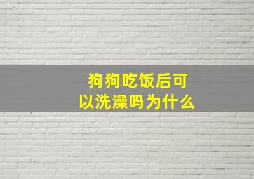 狗狗吃饭后可以洗澡吗为什么