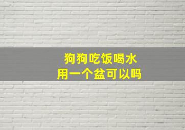 狗狗吃饭喝水用一个盆可以吗