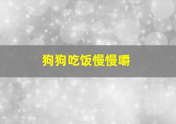 狗狗吃饭慢慢嚼