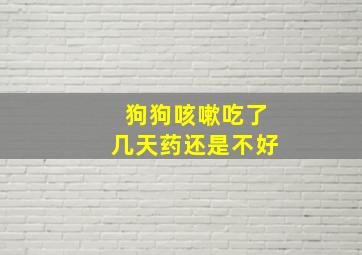 狗狗咳嗽吃了几天药还是不好