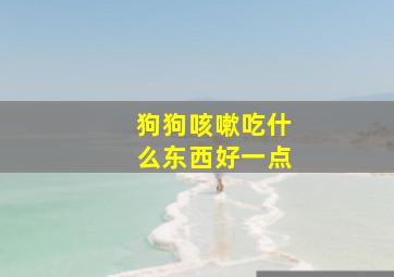 狗狗咳嗽吃什么东西好一点