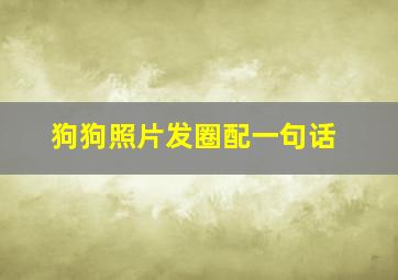 狗狗照片发圈配一句话