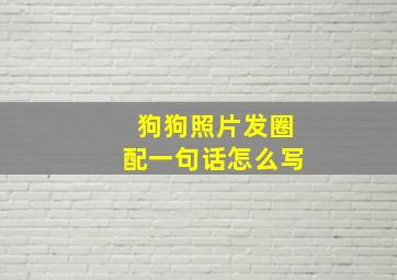 狗狗照片发圈配一句话怎么写