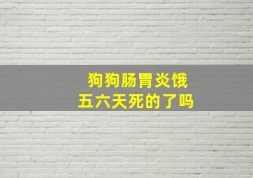 狗狗肠胃炎饿五六天死的了吗