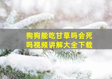 狗狗能吃甘草吗会死吗视频讲解大全下载