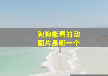 狗狗能看的动画片是哪一个